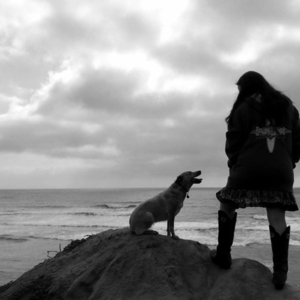 The Black T Shop by Samantha